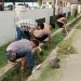 Jum’at Bersih, Polsek Pasar Kemis Polresta Tangerang Laksanakan Kerja Bakti