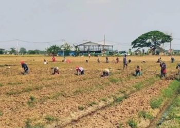 Poktan Binaan Korem 051/Wkt Lakukan Penggemburan Tanah, Ini tujuannya 