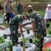 Urban Farming “From Zero to Hero” Jadi Inspirasi Koramil 03 Tanjung Priok 