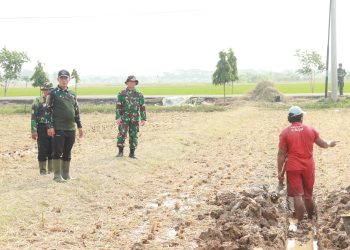 Danrem 051/Wijayakarta, Brigjen TNI Riyanto S.I.P: Inspirasi bagi Petani di Lahan Urban Farming Korem 051/Wkt