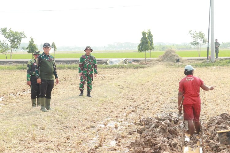 Danrem 051/Wijayakarta, Brigjen TNI Riyanto S.I.P: Inspirasi bagi Petani di Lahan Urban Farming Korem 051/Wkt