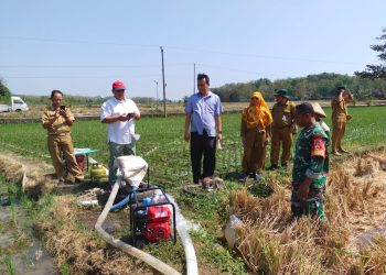 Babinsa Nogosari Dampingi Poktan Melalui Program Pompanisasi