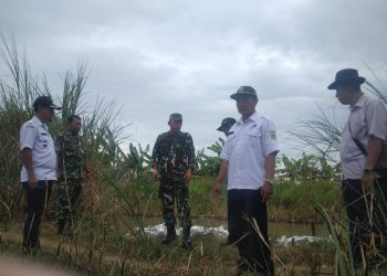 Danramil 11 Pebayuran Bersama Camat Tinjau Tanggul Jebol di Desa Sumberejat