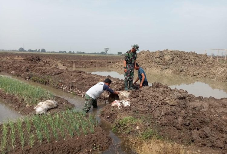 Embung Baru di Urban Farming Korem 051/Wkt, Solusi Irigasi untuk Hasil Pertanian Optimal