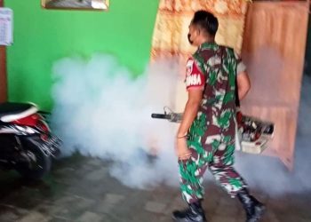 Babinsa Bersama Puskesmas Bantu Penyemprotan Fogging, Cegah DBD