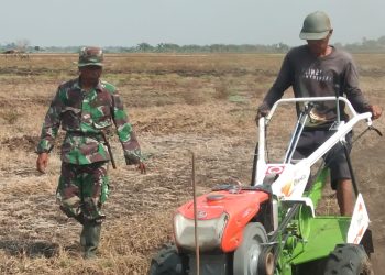 Sinergi Korem 051/Wkt dan Kelompok Tani, Siapkan 50 Hektare Lahan Jagung untuk Ketahanan Pangan di Bekasi