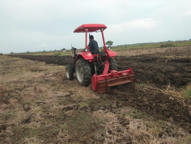 Menggarap Lahan Jagung dengan Mentraktror