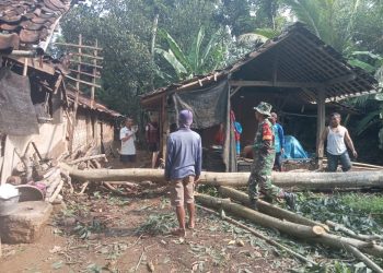 Babinsa Klego dan Warga Evakuasi Pohon Tumbang 