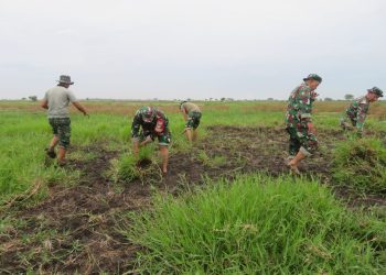 Babinsa Korem 051/Wkt Lanjutkan Penyiapan Lahan Jagung 50 Hektar