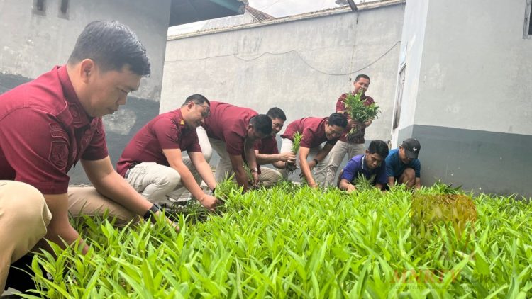 Lapas Banyuwangi Salurkan Hasil Panen Sayuran untuk Keluarga Warga Binaan