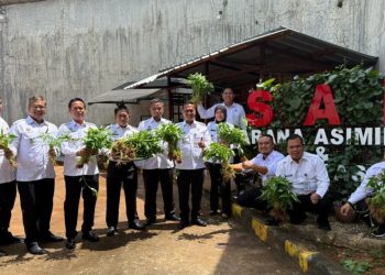 Lapas Khusus Gunung Sindur Panen Raya Singkong dan Kangkung Untuk Dukung Ketahanan Pangan Pemerintah