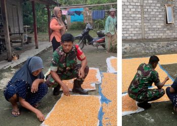 Babinsa Kemusu Aktif Sambangi Petani Desa Kendel