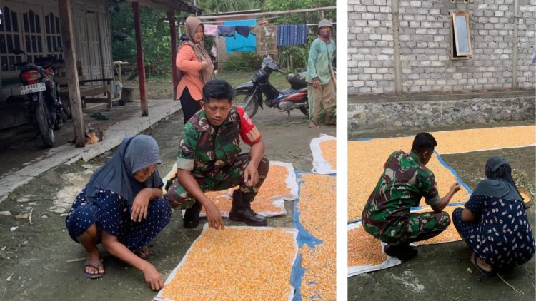 Babinsa Kemusu Aktif Sambangi Petani Desa Kendel