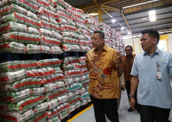 Stabilkan Harga Pangan melalui Program Pasar Murah