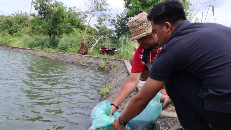 Kapolres Serang dan Bintara Remaja Asal Papua Tebar Ikan di Danau Puspemkab
