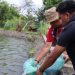 Kapolres Serang dan Bintara Remaja Asal Papua Tebar Ikan di Danau Puspemkab