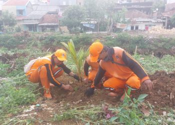 Pembersihan Sampah Dilanjutkan Penanaman Pohon Oleh Babinsa Kramat Jati