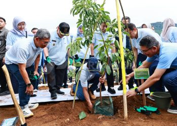 Aksi Pertamina Jaga Kelestarian Lingkungan; Tanam Pohon di Hulu Sungai Ciliwung