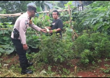 Dukung Ketahanan Pangan, Aiptu Heddy Panjaitan Lakukan Peninjauan Dengan Masyarakat