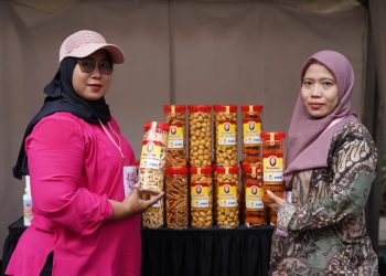 Sejalan dengan Asta Cita Presiden Prabowo, PNM Berupaya Wujudkan Perekonomian yang Inklusif