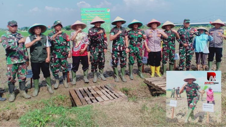 Kasdam Jaya Kunjungi Lahan Pertanian Terpadu di Bekasi, TNI Perkuat Ketahanan Pangan Nasional