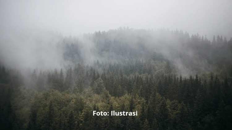 Waspada! Potensi Cuaca Ekstrem di Jawa Barat 6-8 Februari 2025