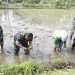 Kasdim 0808 Blitar Bersama Poktan Tunas Tani Percepat Tanam Padi di Ponggok Dukung Swasembada Pangan