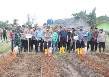 Kapolres Metro Tangerang Pimpin Penanaman Jagung Asta Cita di Sepatan untuk Swasembada Pangan