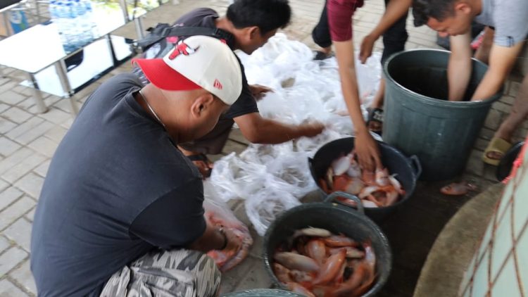 Panen Perdana Ikan Nila Merah, Kapolres Serang Bagikan 350 Kg Hasil Bioflok Program Ketapang