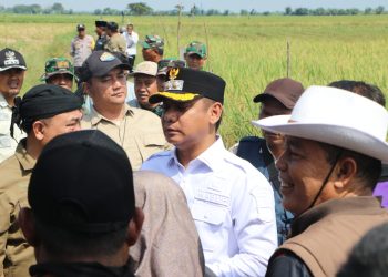 Kasdim 0509 Dampingi Wabup Bekasi, Dukung Swasembada Pangan Lewat Panen Raya Serentak