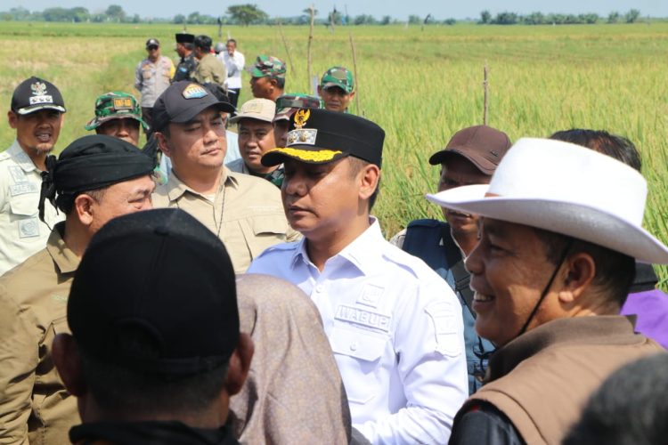 Kasdim 0509 Dampingi Wabup Bekasi, Dukung Swasembada Pangan Lewat Panen Raya Serentak