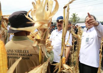 Nusakambangan Panen Perdana, Wujudkan Lumbung Pangan dan Pembinaan Warga Binaan