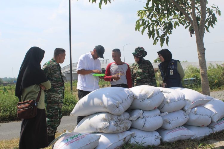 Dukungan Babinsa Boyolali Pastikan Panen Petani Terserap Bulog