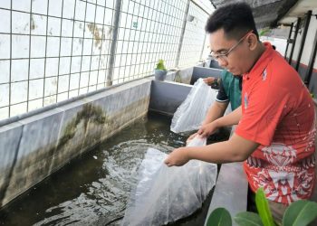 Lapas Jember Tebar 2 Ribu Bibit Lele Dumbo