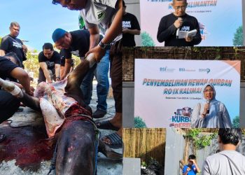 Idul Adha 1446 H, BSI Salurkan Hewan Kurban hingga ke Pelosok Kalimantan