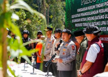 Green Policing: Polda Riau Ungkap Perambahan Hutan Lindung di Kampar