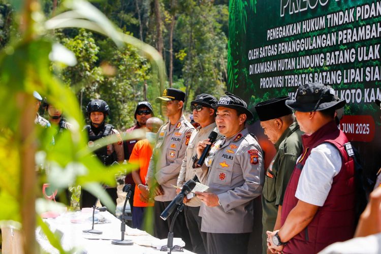 Green Policing: Polda Riau Ungkap Perambahan Hutan Lindung di Kampar