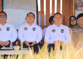 Panen Raya Padi SAE Lapas Banyuwangi Dukung Program Ketahanan Pangan Nasional