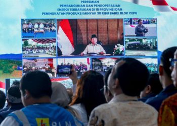 Presiden Prabowo Resmikan Proyek Energi Terbarukan dan Tambahan Produksi Minyak Blok Cepu