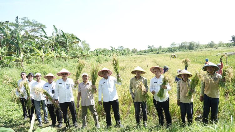 Nusakambangan Menuju Lumbung Ketahanan Pangan, 247 Warga Binaan Aktif Berkontribusi