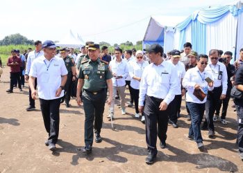 TNI Jadi Pilar Ketahanan Pangan, Panen Raya Tebu Bukti Nyata Kolaborasi