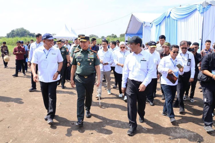 TNI Jadi Pilar Ketahanan Pangan, Panen Raya Tebu Bukti Nyata Kolaborasi