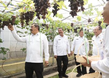 Menteri IMIPAS Makan Siang Bareng Warga Binaan dan Janjikan Remisi Dasawarsa 2025