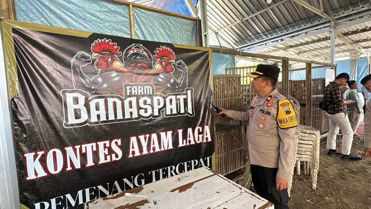 Upaya Serius Berantas Judi, Tim Gabungan Tutup Lokasi Diduga Arena Sabung Ayam di Bukateja