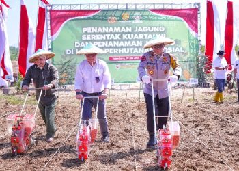 Irjen Rudi Setiawan Pimpin Aksi Nyata Polri di Lahan Jagung