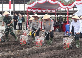 Tanam Jagung Serentak, Polda Kalteng Nyatakan Komitmen Jaga Pangan Negeri