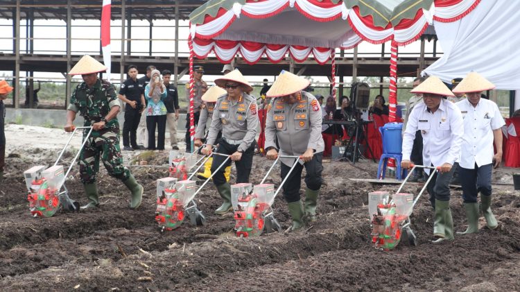 Tanam Jagung Serentak, Polda Kalteng Nyatakan Komitmen Jaga Pangan Negeri