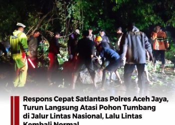 Sigap Tangani Gangguan Lalu Lintas, Satlantas Polres Aceh Jaya Bersihkan Pohon Tumbang di Jalur Nasional