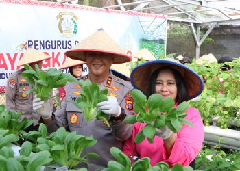 Irjen Pol Iwan Kurniawan Pimpin Panen Sayuran Dukung Ketahanan Pangan