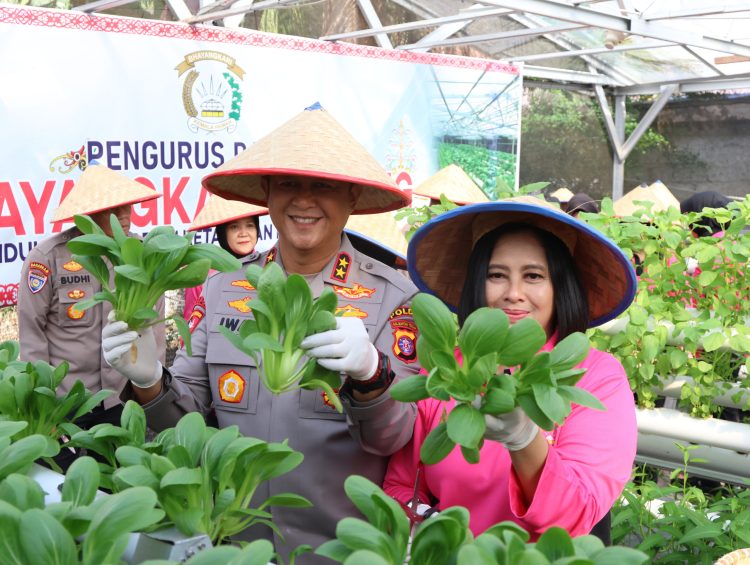 Irjen Pol Iwan Kurniawan Pimpin Panen Sayuran Dukung Ketahanan Pangan